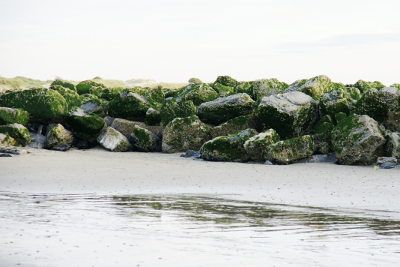 Rocks on the beach, par Xavier E. G. Dierick